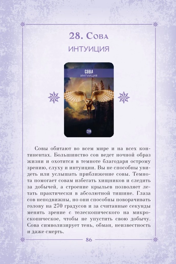 Сила природы. Оракул. 44 карты и руководство. Таро, гадания и знаки